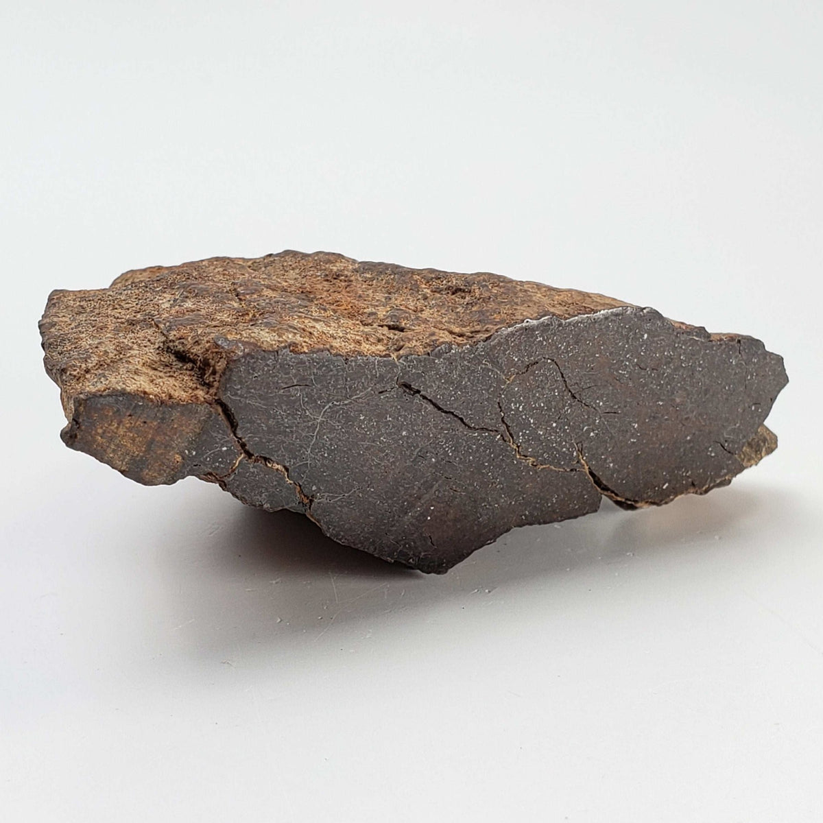  Northwest Africa NWA Meteorite | 184.3 Grams | Individual Cut Fragment | Sahara 1