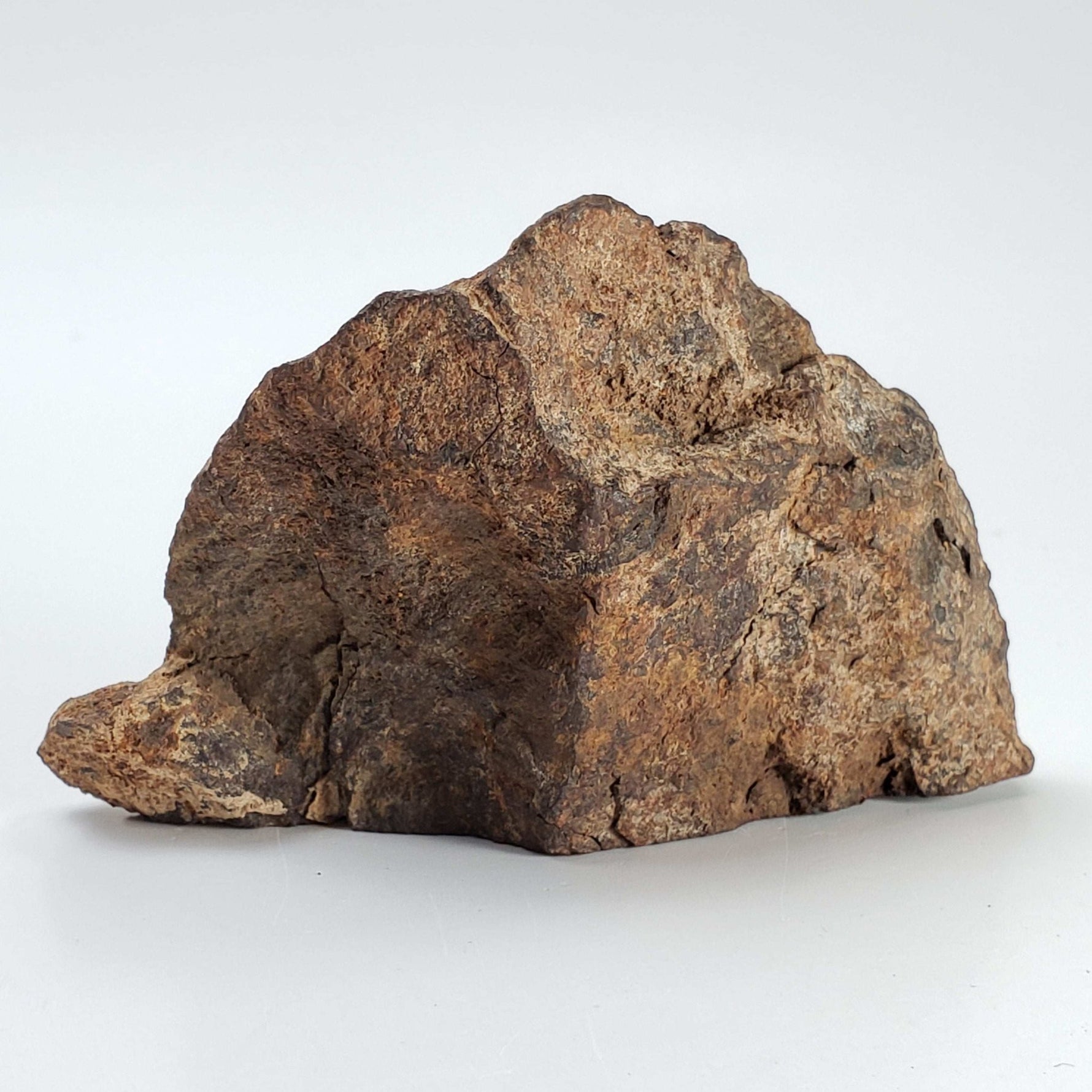  Northwest Africa NWA Meteorite | 184.3 Grams | Individual Cut Fragment | Sahara 2