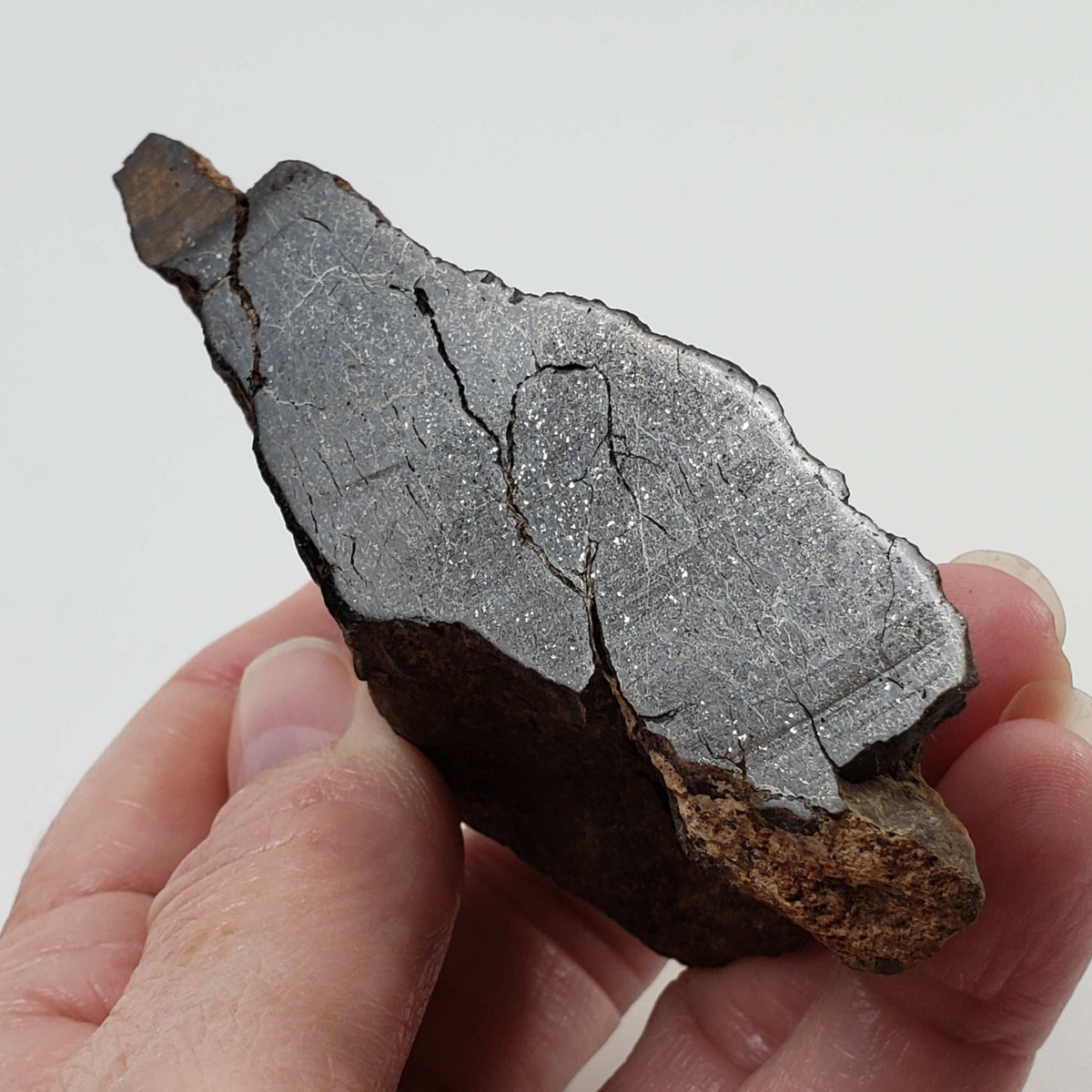  Northwest Africa NWA Meteorite | 184.3 Grams | Individual Cut Fragment | Sahara 3