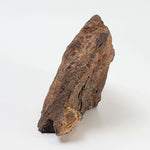  Northwest Africa NWA Meteorite | 184.3 Grams | Individual Cut Fragment | Sahara 4