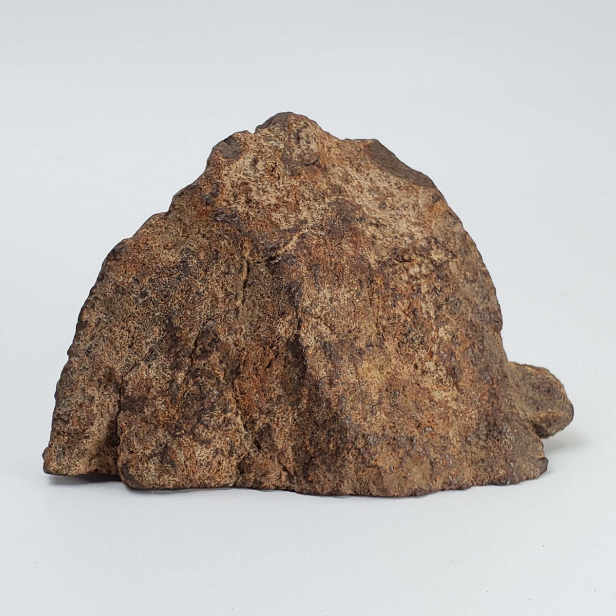  Northwest Africa NWA Meteorite | 184.3 Grams | Individual Cut Fragment | Sahara 5
