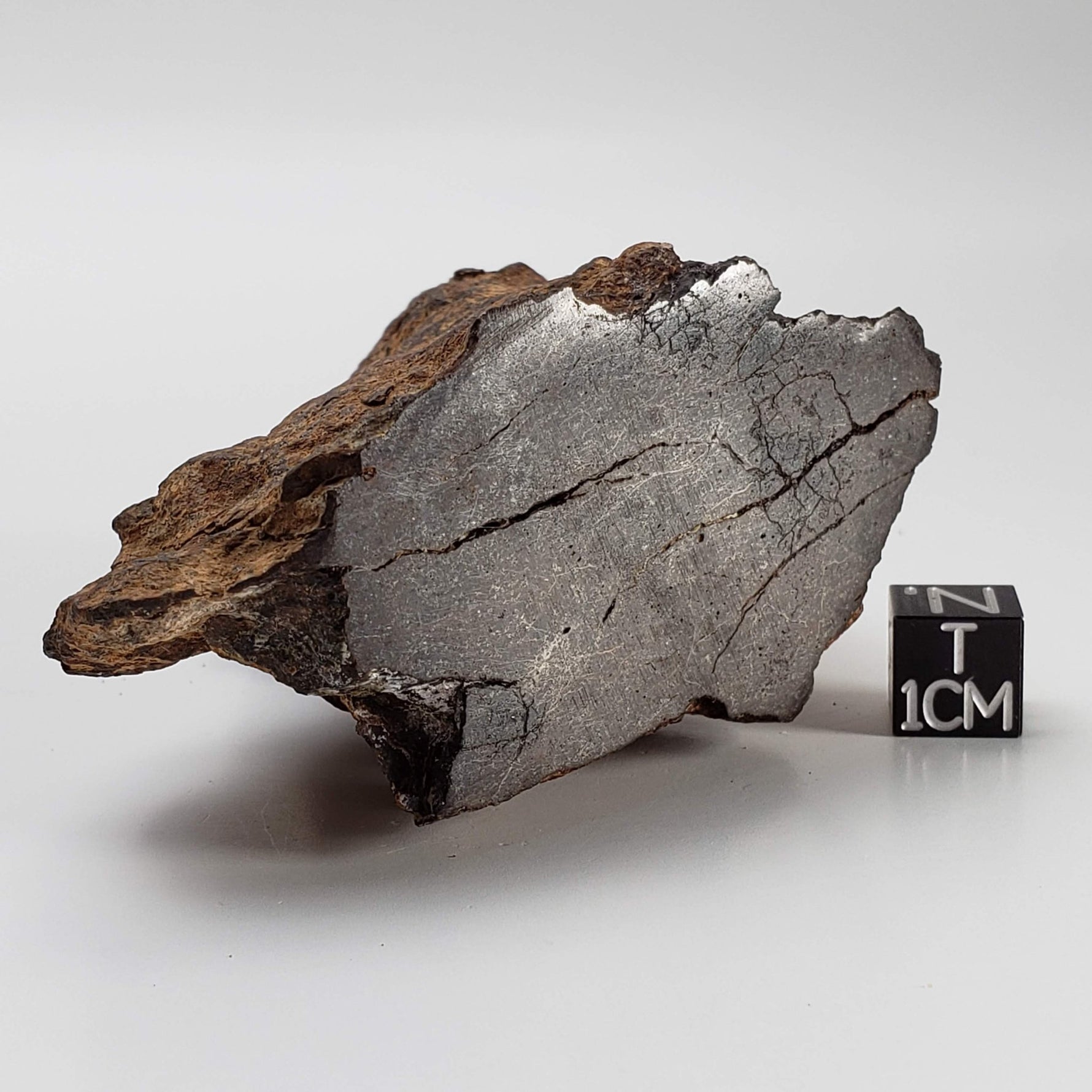  Northwest Africa NWA Meteorite | 229.6 Grams | End Cut | Sahara 