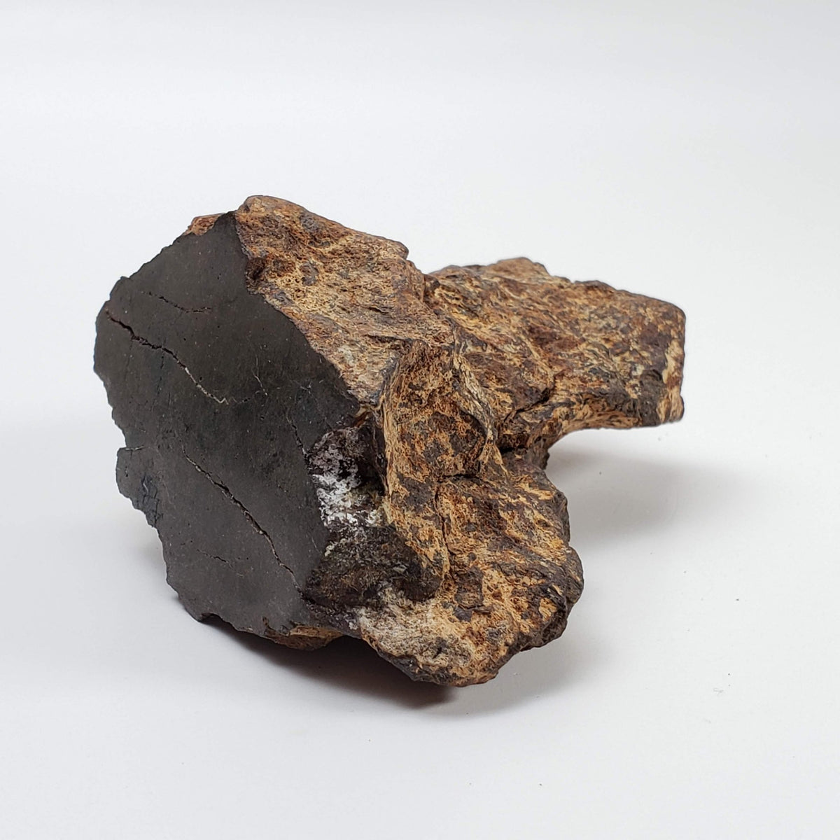  Northwest Africa NWA Meteorite | 229.6 Grams | End Cut | Sahara 1