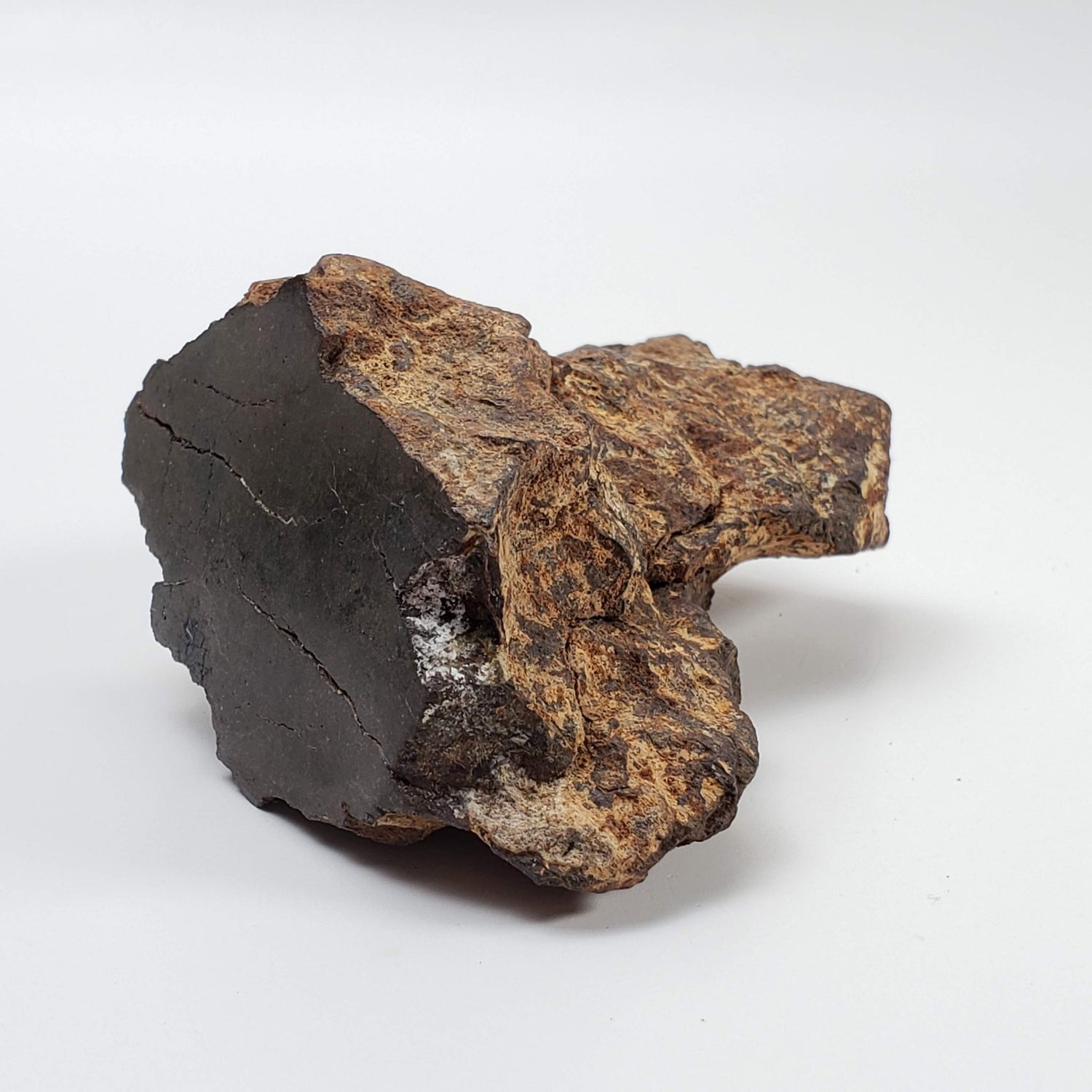  Northwest Africa NWA Meteorite | 229.6 Grams | End Cut | Sahara 1