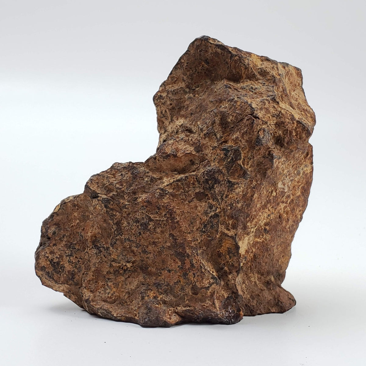  Northwest Africa NWA Meteorite | 229.6 Grams | End Cut | Sahara 2