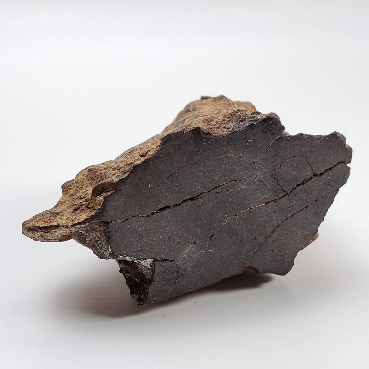  Northwest Africa NWA Meteorite | 229.6 Grams | End Cut | Sahara 4