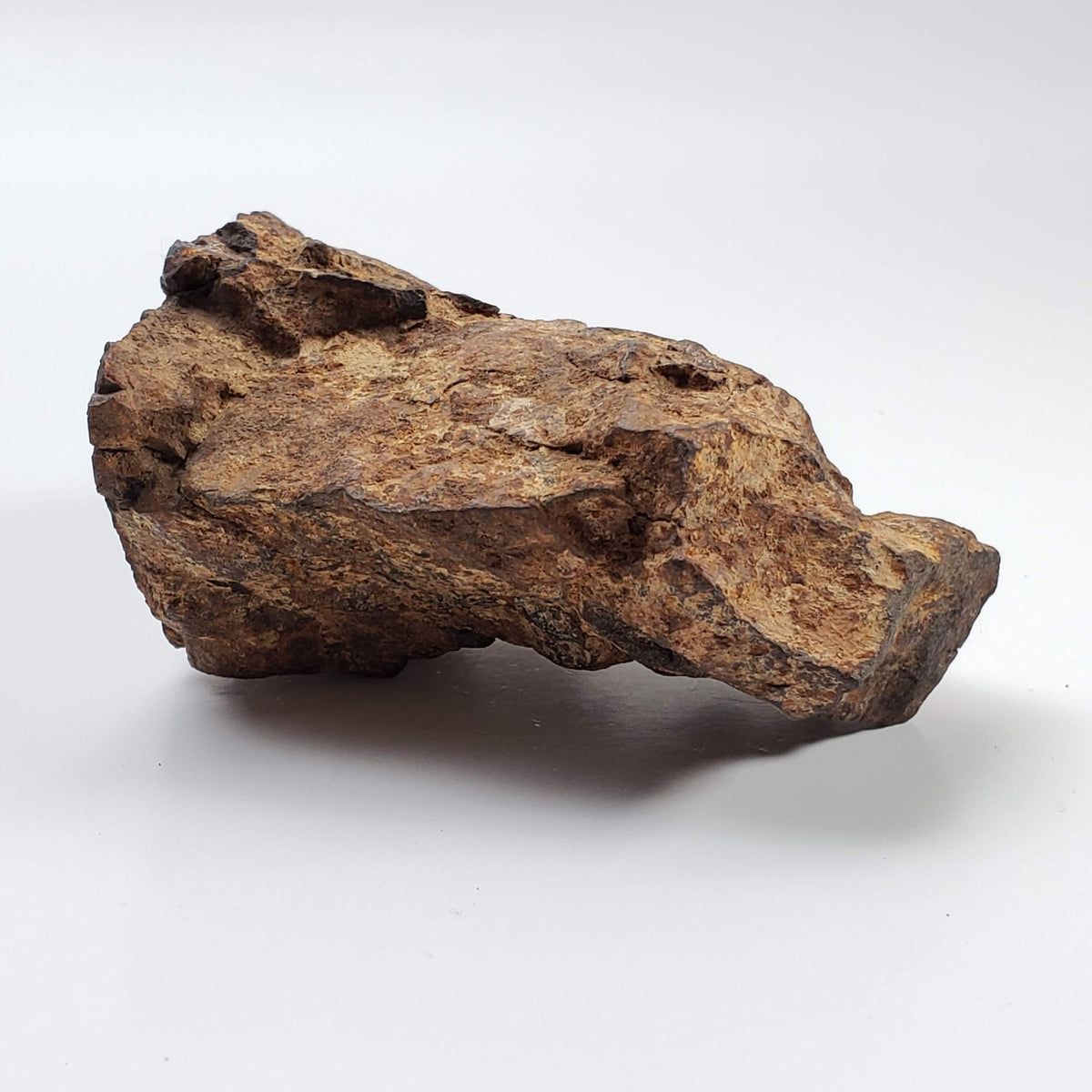  Northwest Africa NWA Meteorite | 229.6 Grams | End Cut | Sahara 5