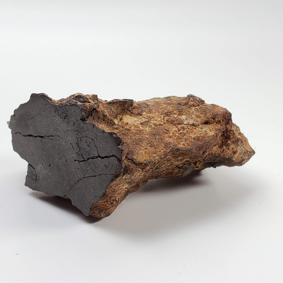  Northwest Africa NWA Meteorite | 229.6 Grams | End Cut | Sahara 6