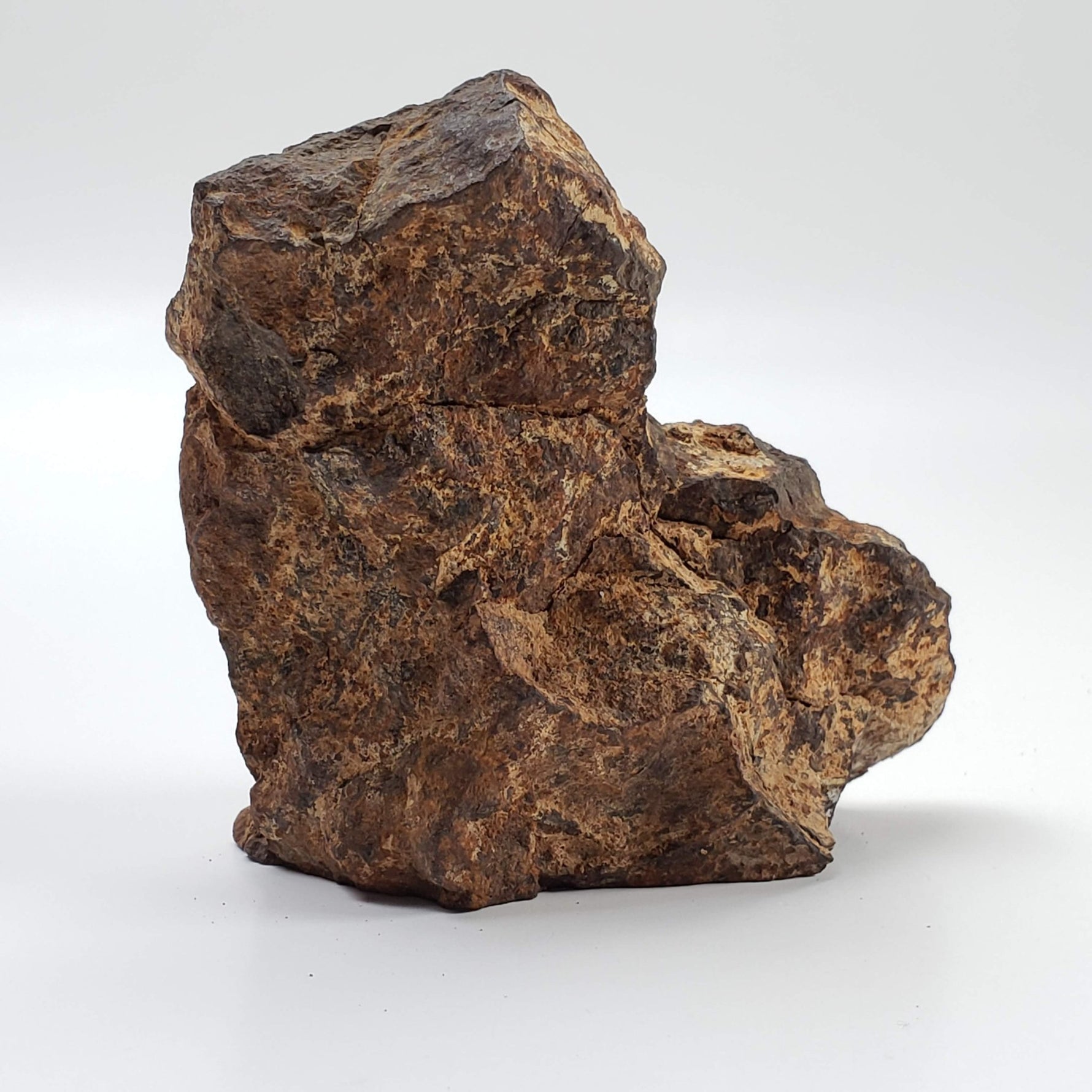  Northwest Africa NWA Meteorite | 229.6 Grams | End Cut | Sahara 7