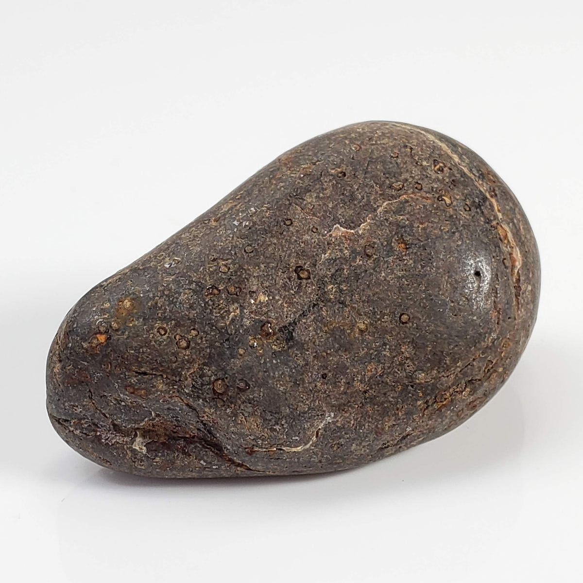 Northwest Africa NWA Meteorite | 23.5 Grams | Individual | Tumbled Meteorite | Sahara