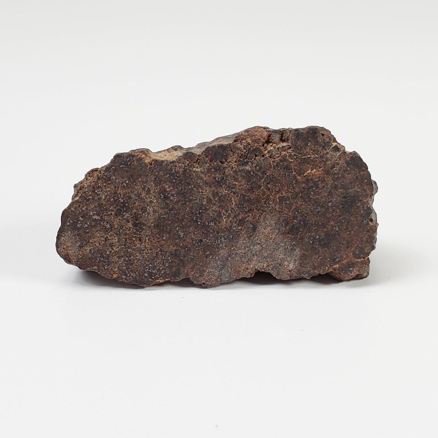  Northwest Africa NWA Meteorite | 23.6 Grams | End Cut | Sahara | SO24 1