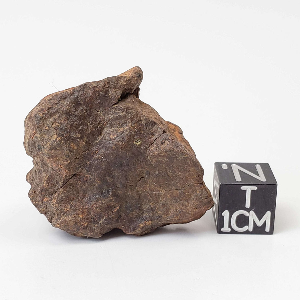  Northwest Africa NWA Meteorite | 24.7 Grams | Individual Fragment | Sahara 