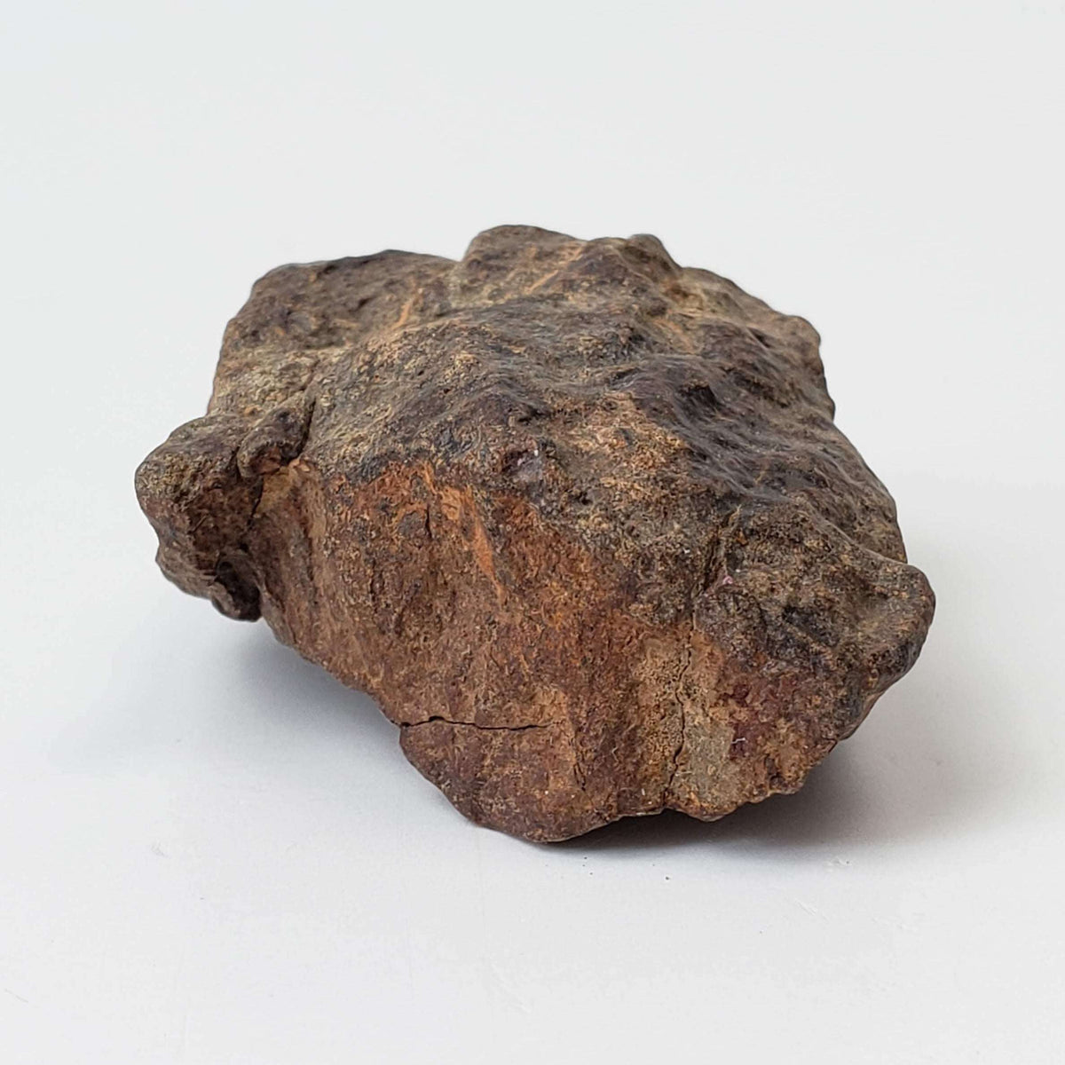  Northwest Africa NWA Meteorite | 24.7 Grams | Individual Fragment | Sahara 5