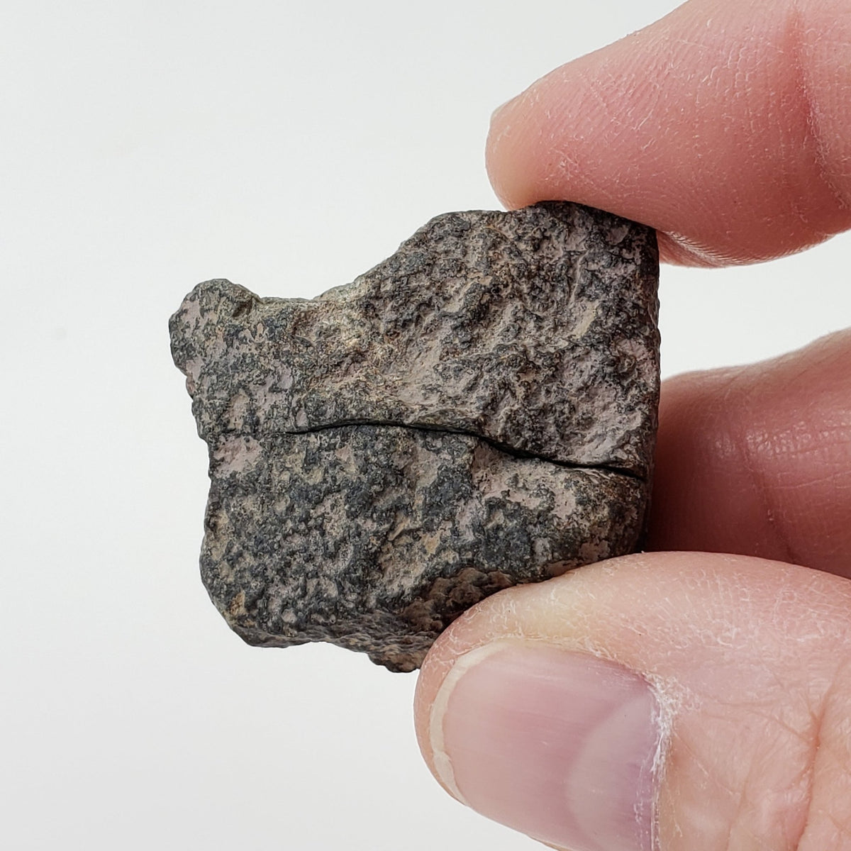  Northwest Africa NWA Meteorite | 26.2 Grams | Two part Cut | Sahara | SO24 5