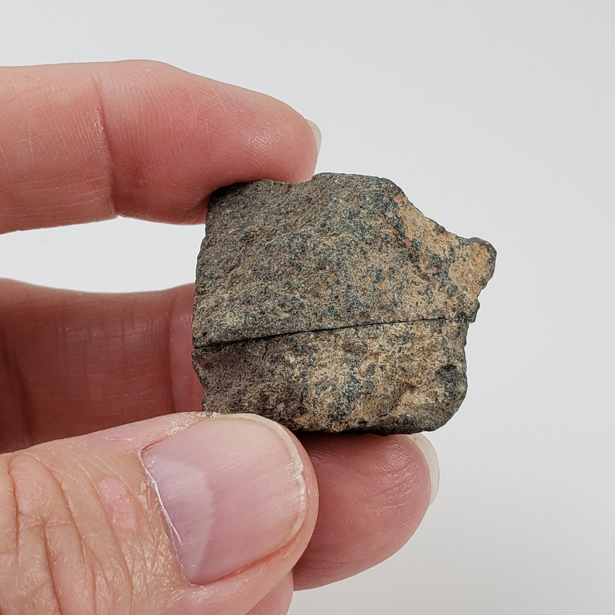  Northwest Africa NWA Meteorite | 26.2 Grams | Two part Cut | Sahara | SO24 6