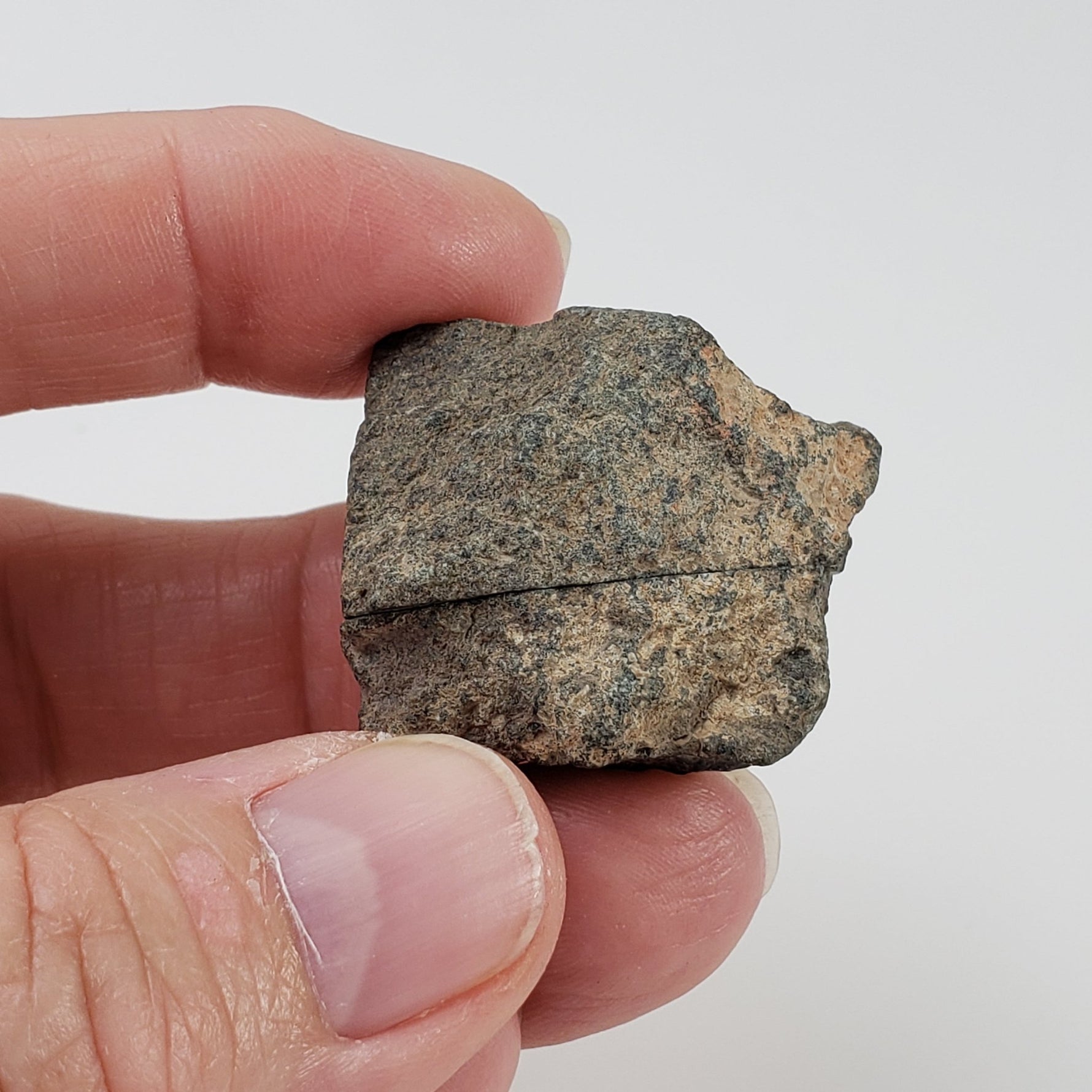  Northwest Africa NWA Meteorite | 26.2 Grams | Two part Cut | Sahara | SO24 6