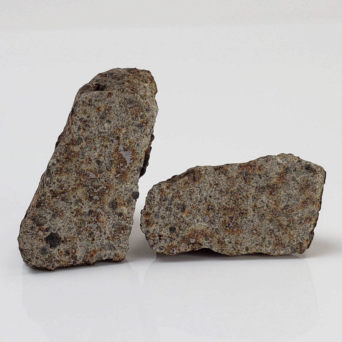  Northwest Africa NWA Meteorite | 32 Grams | Two part Cut | Sahara 1