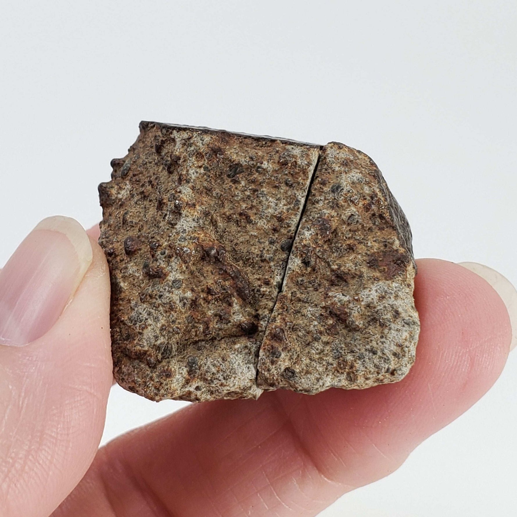  Northwest Africa NWA Meteorite | 32 Grams | Two part Cut | Sahara 2