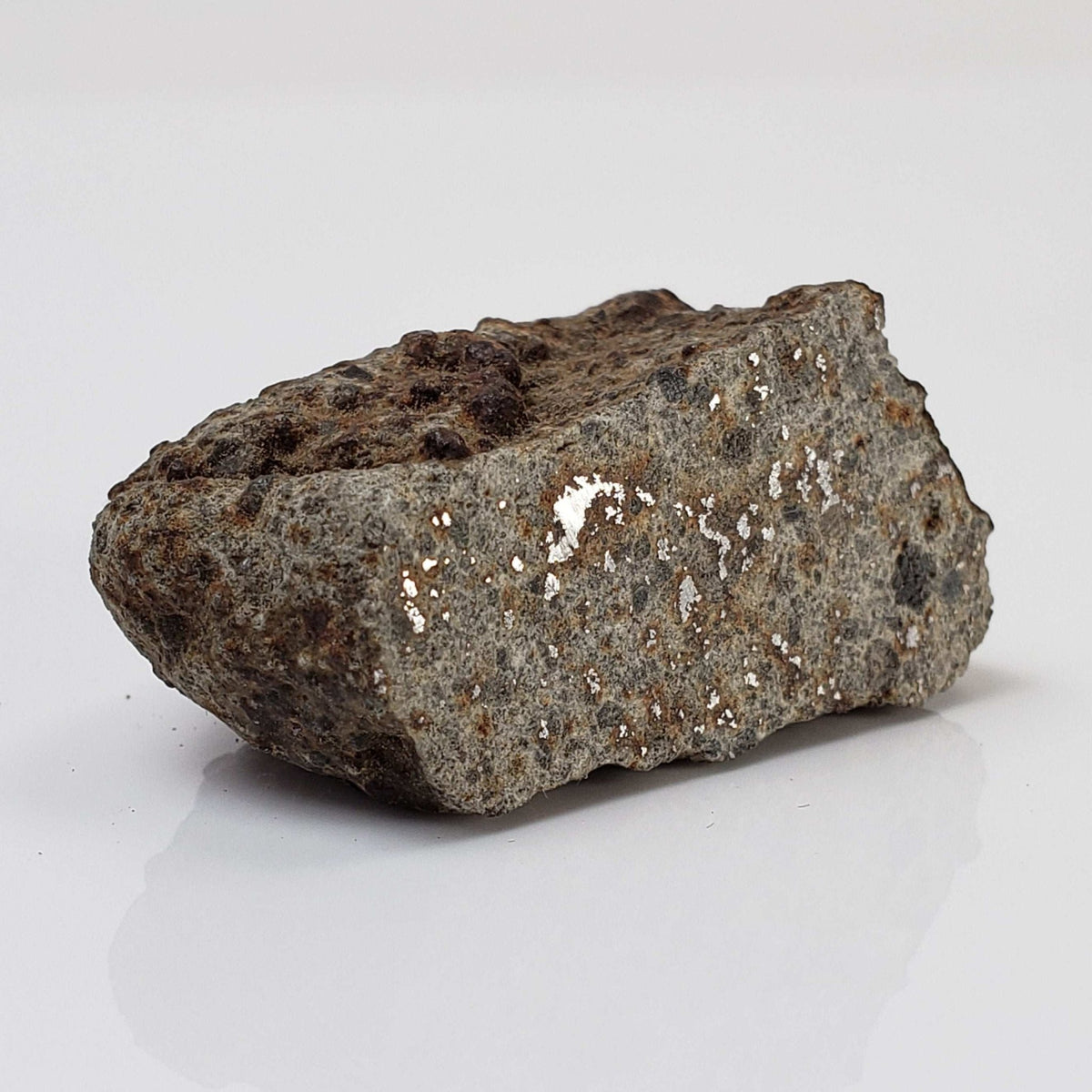  Northwest Africa NWA Meteorite | 32 Grams | Two part Cut | Sahara 5