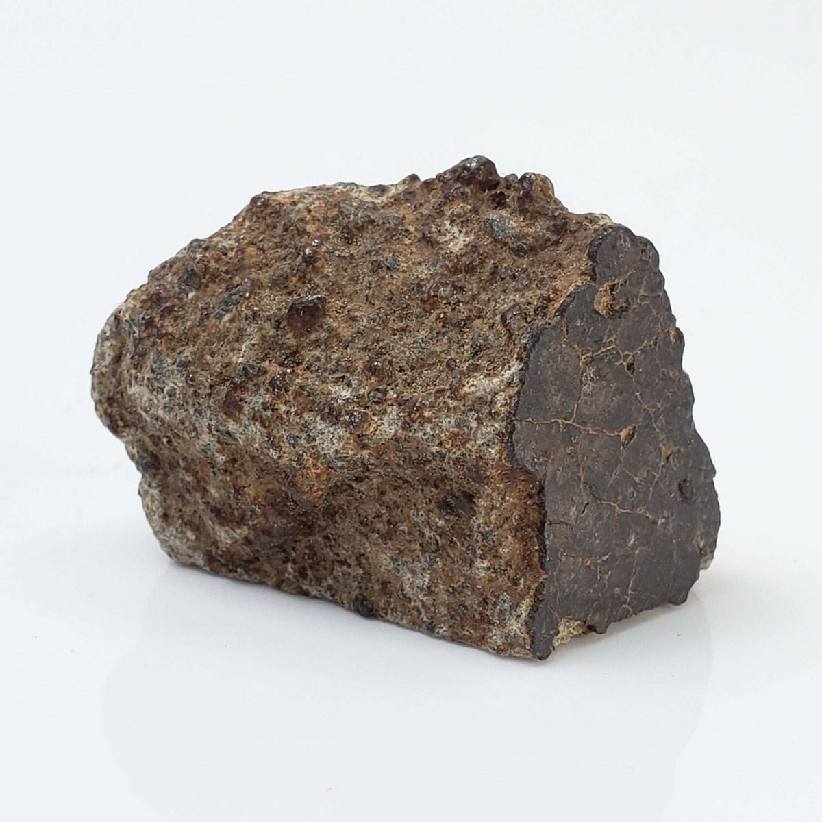  Northwest Africa NWA Meteorite | 32 Grams | Two part Cut | Sahara 7