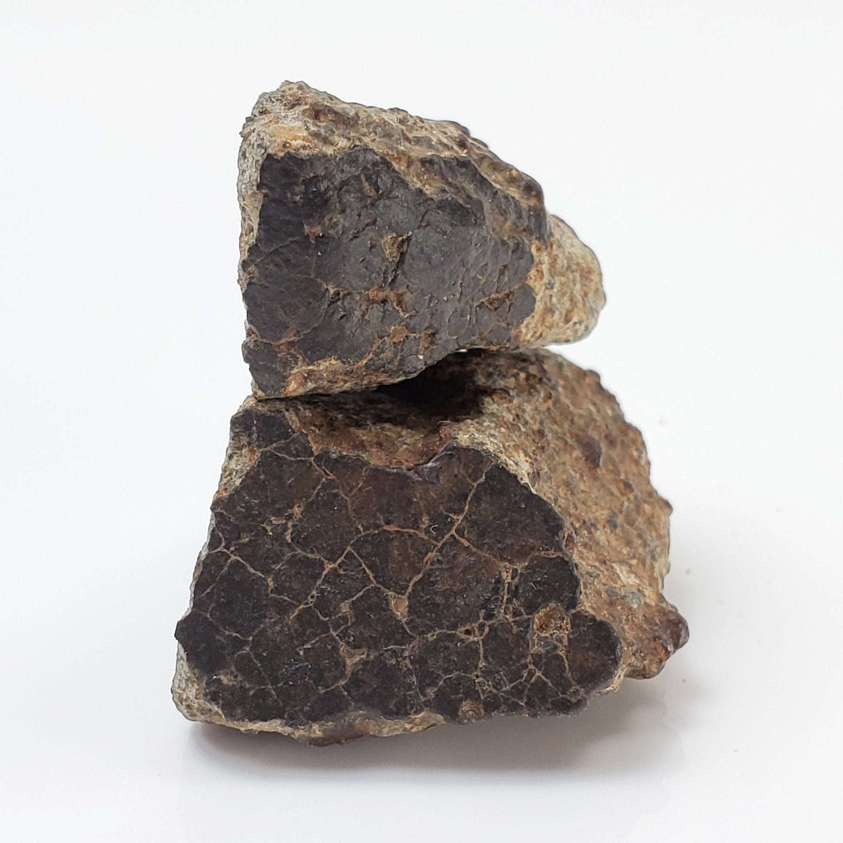  Northwest Africa NWA Meteorite | 32 Grams | Two part Cut | Sahara 8