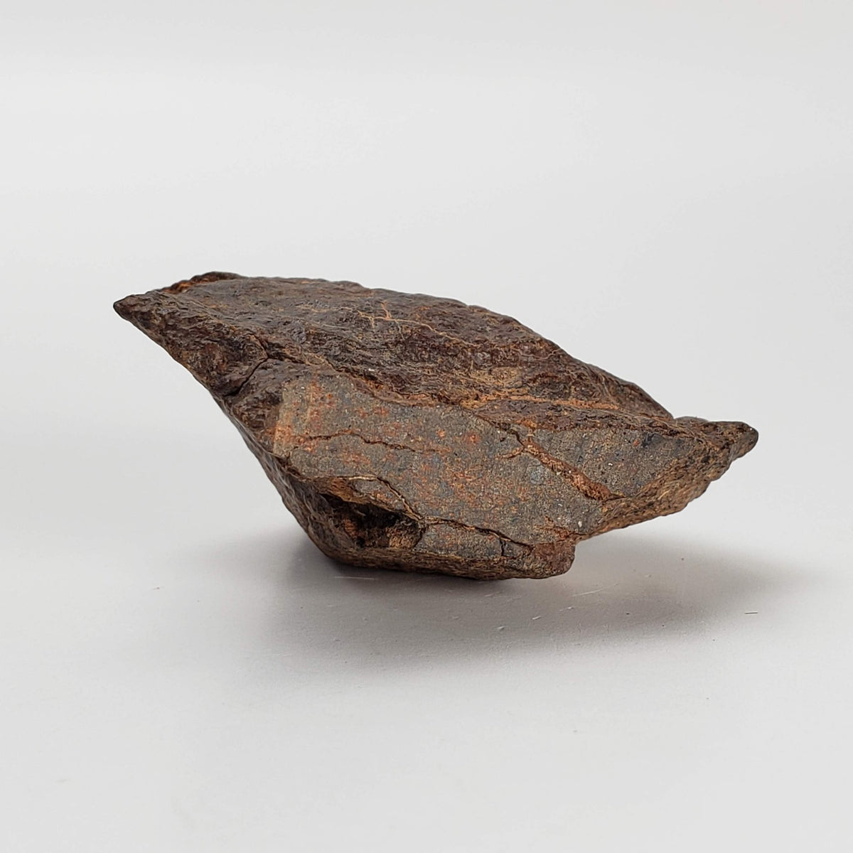  Northwest Africa NWA Meteorite | 33.83 Grams | End Cut | Sahara 2