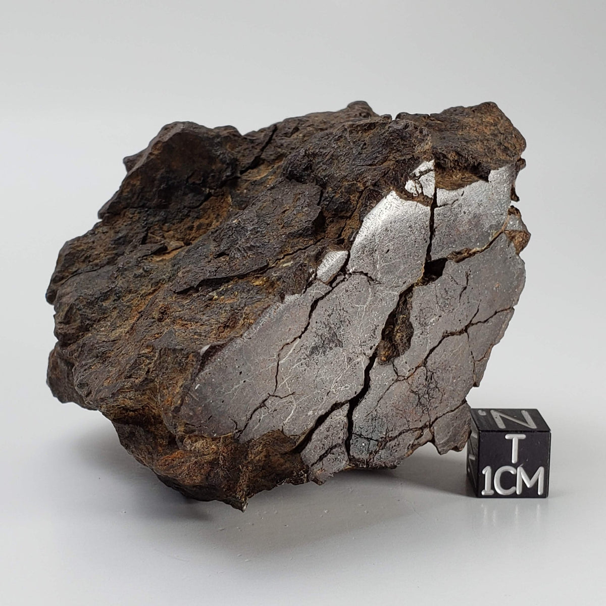  Northwest Africa NWA Meteorite | 354.5 Grams | End Cut | Sahara | SO24 