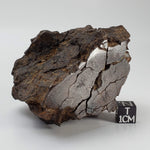  Northwest Africa NWA Meteorite | 354.5 Grams | End Cut | Sahara | SO24 