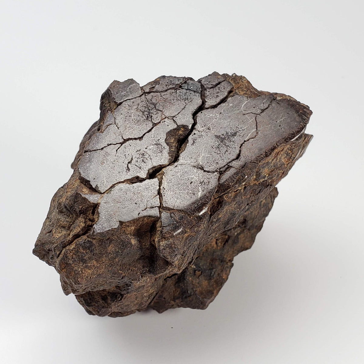  Northwest Africa NWA Meteorite | 354.5 Grams | End Cut | Sahara | SO24 5