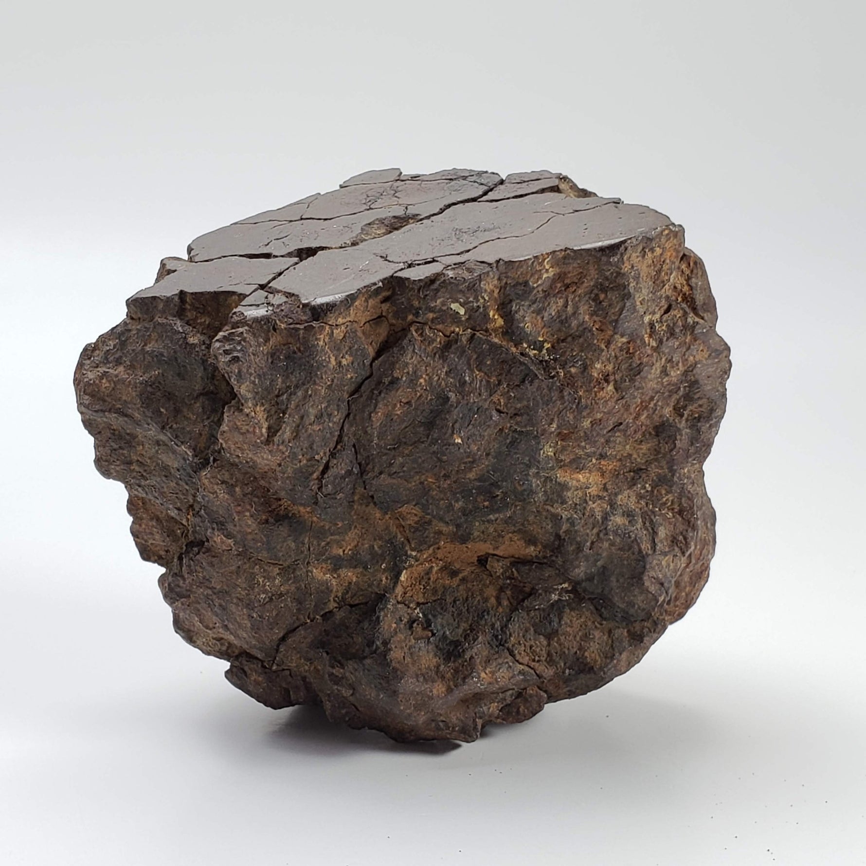  Northwest Africa NWA Meteorite | 354.5 Grams | End Cut | Sahara | SO24 6