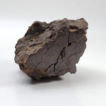  Northwest Africa NWA Meteorite | 354.5 Grams | End Cut | Sahara | SO24 7