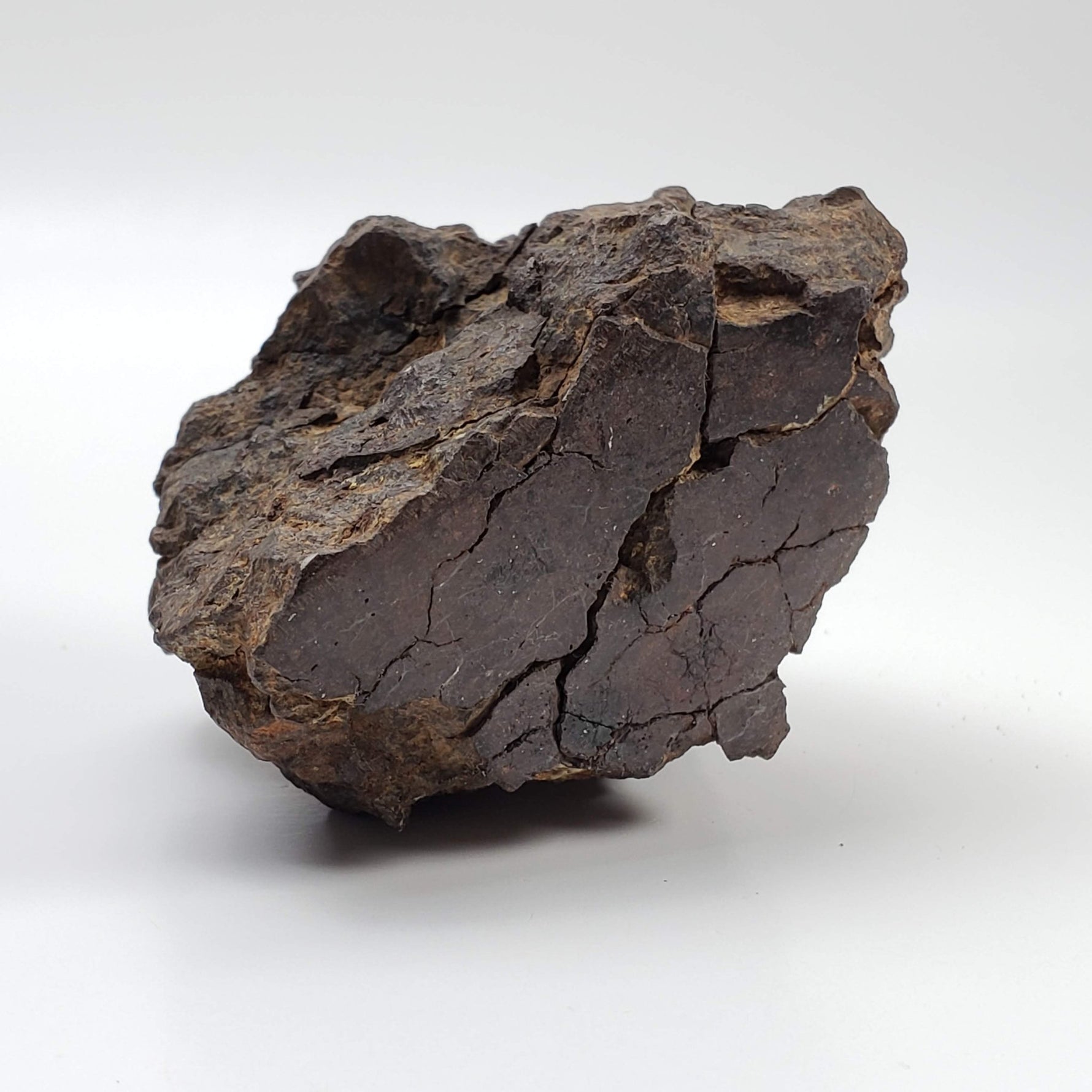  Northwest Africa NWA Meteorite | 354.5 Grams | End Cut | Sahara | SO24 7