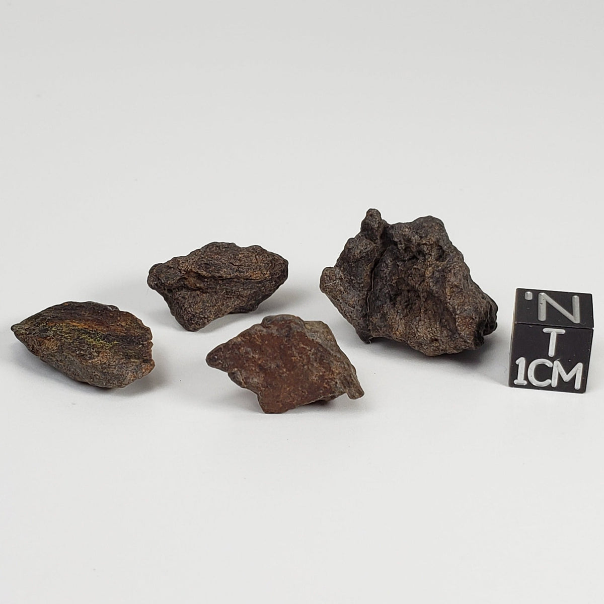 Northwest Africa NWA Meteorite | 4 Piece Lot | 18.8 Grams | Individual | Sahara | SO24 