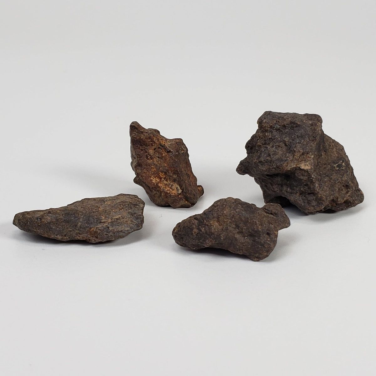  Northwest Africa NWA Meteorite | 4 Piece Lot | 18.8 Grams | Individual | Sahara | SO24 1