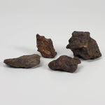  Northwest Africa NWA Meteorite | 4 Piece Lot | 18.8 Grams | Individual | Sahara | SO24 1