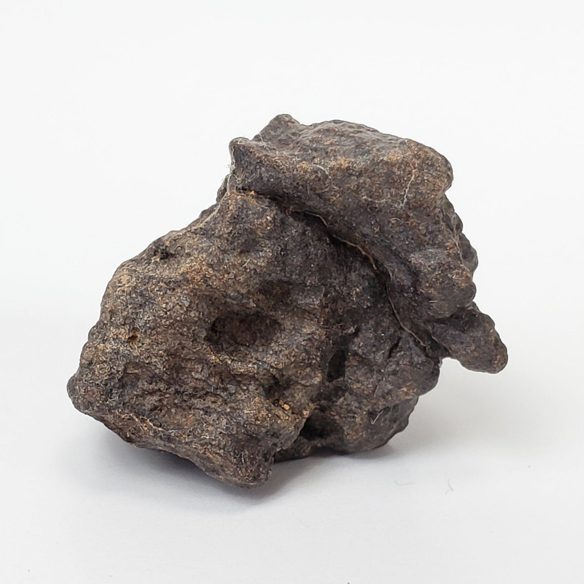  Northwest Africa NWA Meteorite | 4 Piece Lot | 18.8 Grams | Individual | Sahara | SO24 2