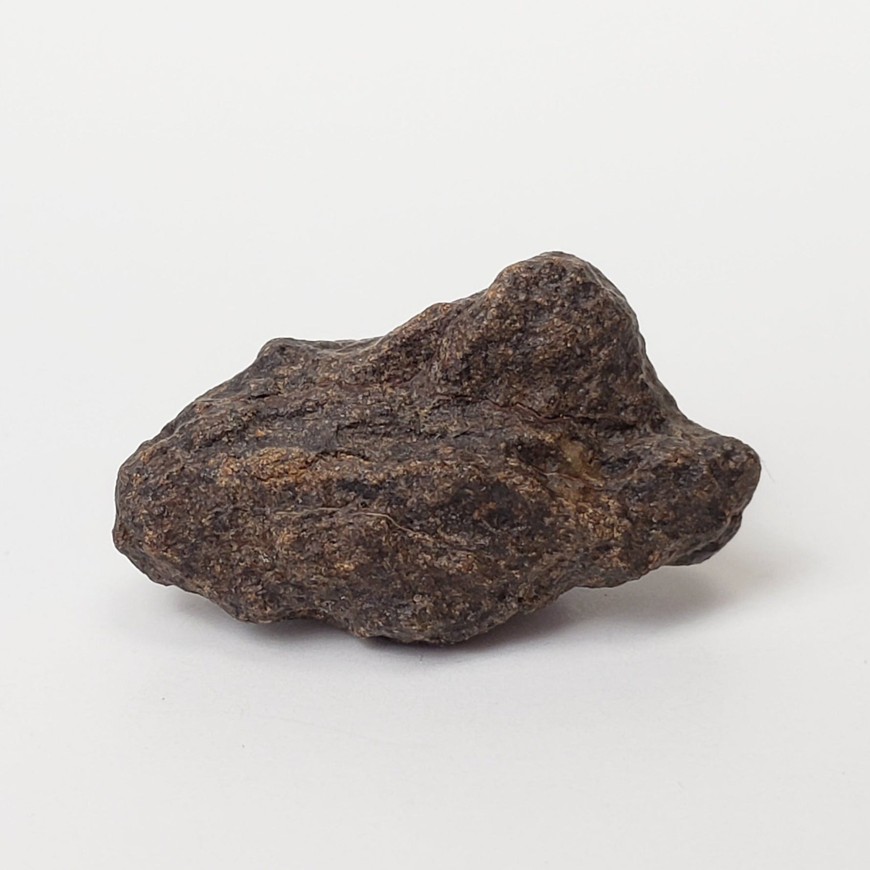  Northwest Africa NWA Meteorite | 4 Piece Lot | 18.8 Grams | Individual | Sahara | SO24 5