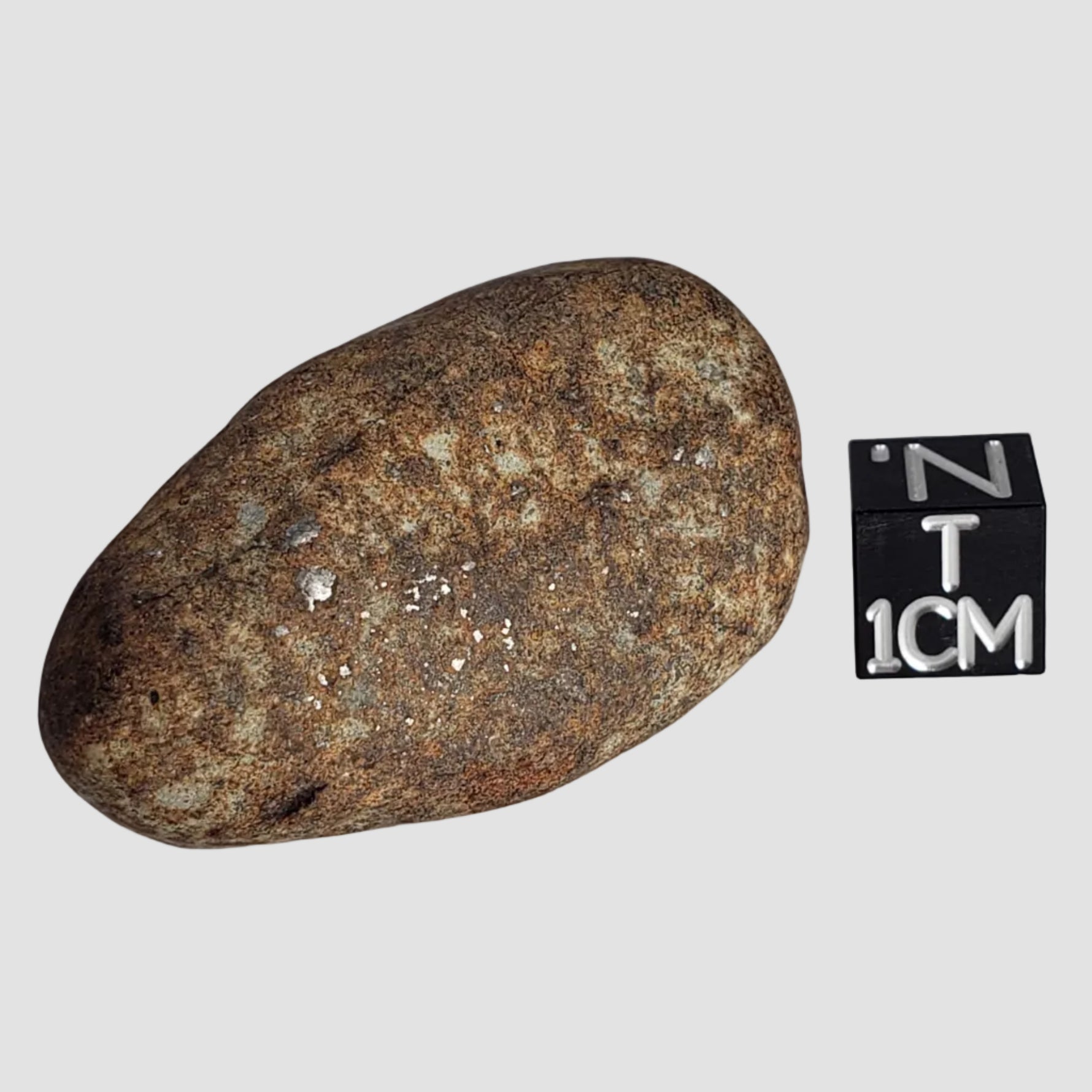 Northwest Africa NWA Meteorite | 44.3 Grams | Individual | Tumbled Meteorite | Sahara a