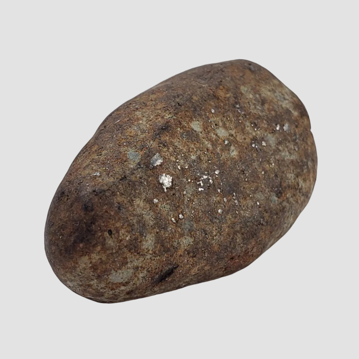 Northwest Africa NWA Meteorite | 44.3 Grams | Individual | Tumbled Meteorite | Sahara f