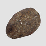 Northwest Africa NWA Meteorite | 44.3 Grams | Individual | Tumbled Meteorite | Sahara f