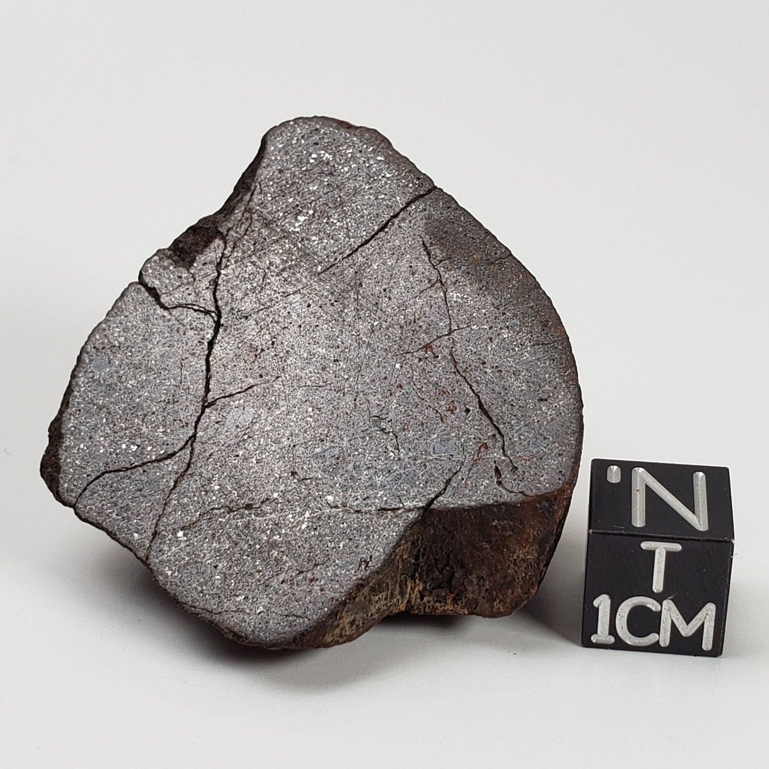  Northwest Africa NWA Meteorite | 44.5 Grams | End Cut | Sahara | SO24 