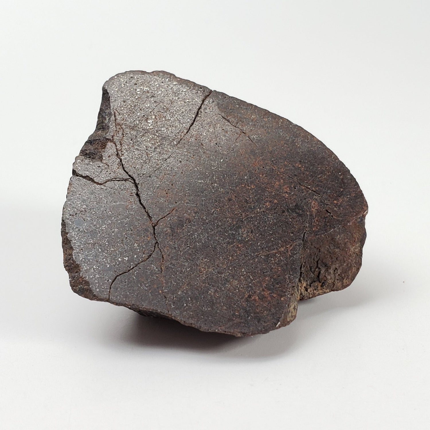  Northwest Africa NWA Meteorite | 44.5 Grams | End Cut | Sahara | SO24 1