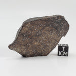  Northwest Africa NWA Meteorite | 44 Grams | End Cut | Sahara 