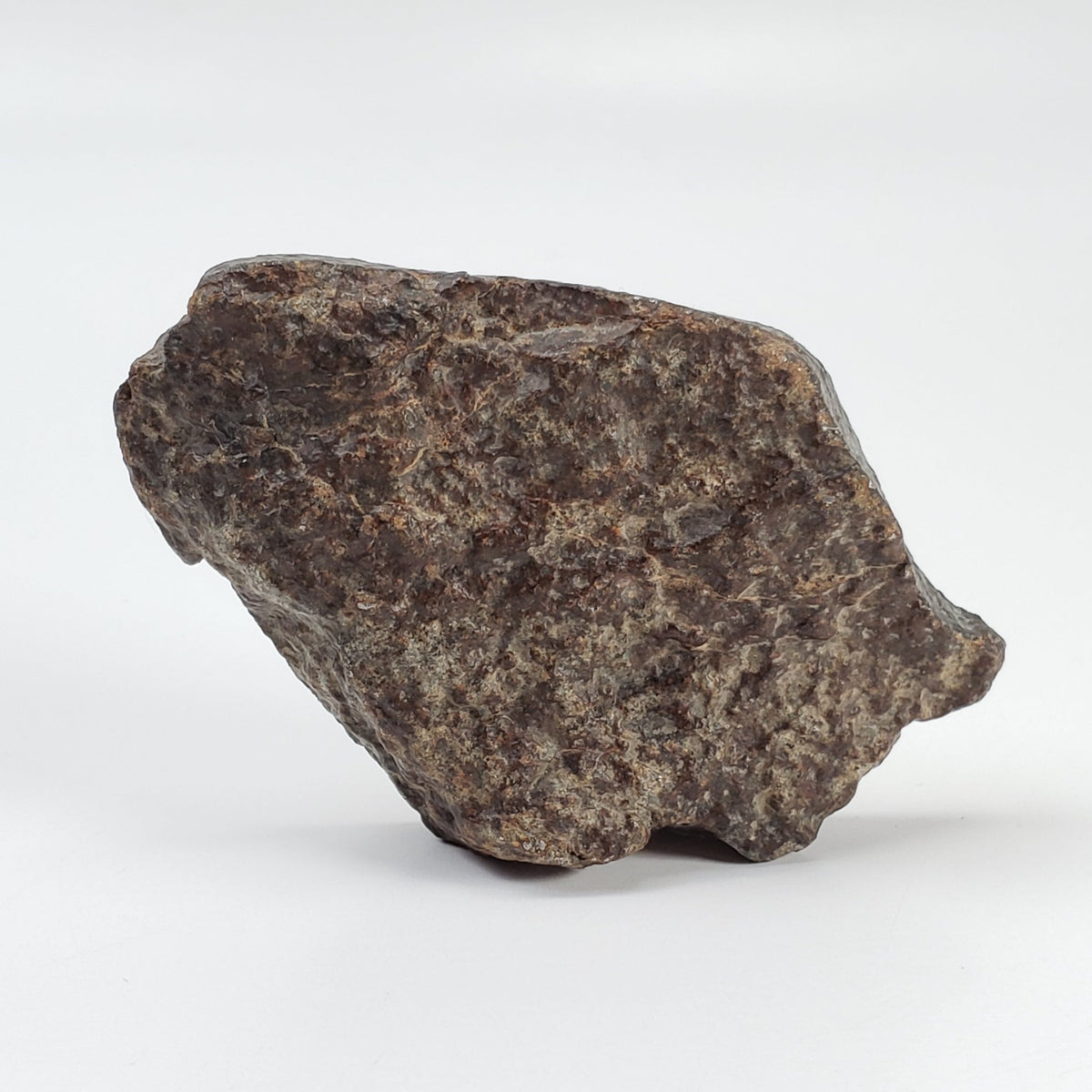  Northwest Africa NWA Meteorite | 44 Grams | End Cut | Sahara 1