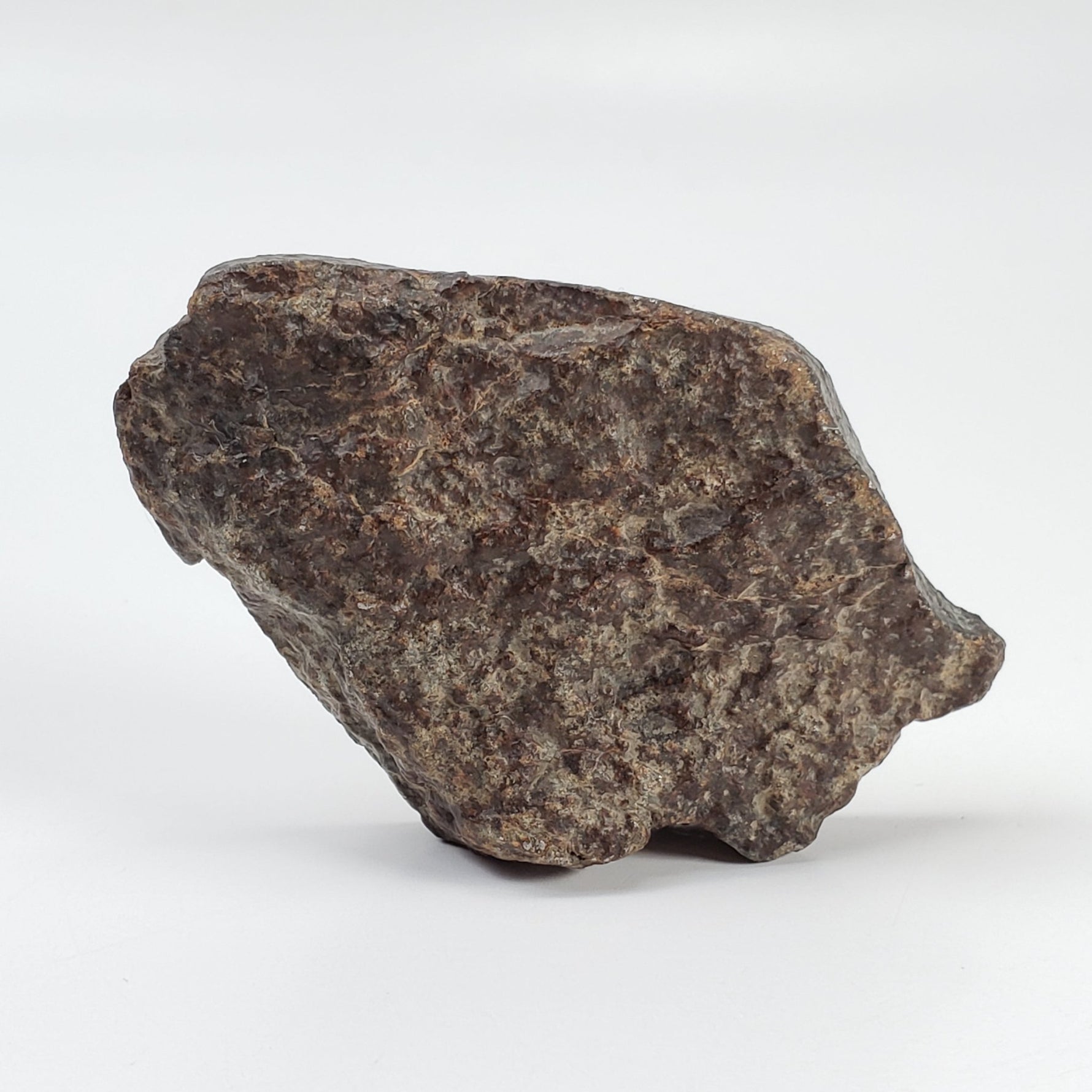  Northwest Africa NWA Meteorite | 44 Grams | End Cut | Sahara 1