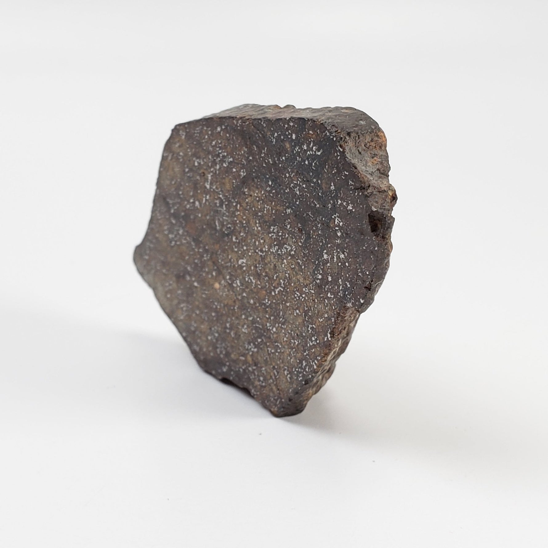  Northwest Africa NWA Meteorite | 44 Grams | End Cut | Sahara 3