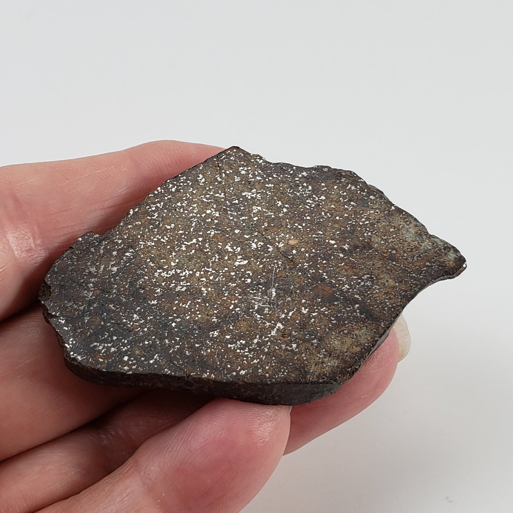  Northwest Africa NWA Meteorite | 44 Grams | End Cut | Sahara 5