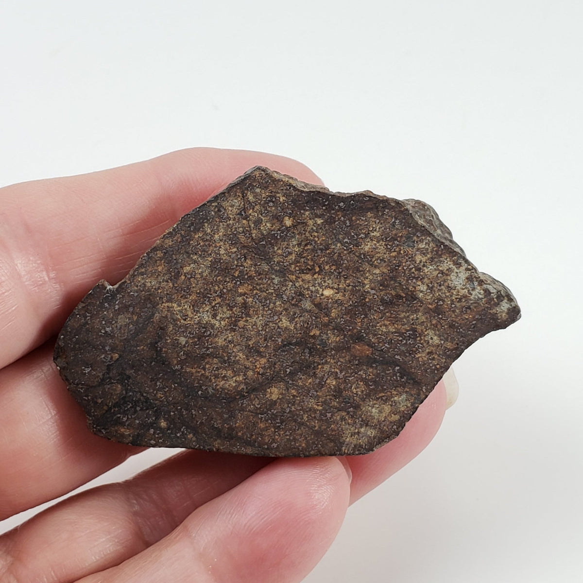  Northwest Africa NWA Meteorite | 44 Grams | End Cut | Sahara 6