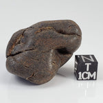  Northwest Africa NWA Meteorite | 45.5 Grams | Individual | Tumbled Meteorite | Sahara 