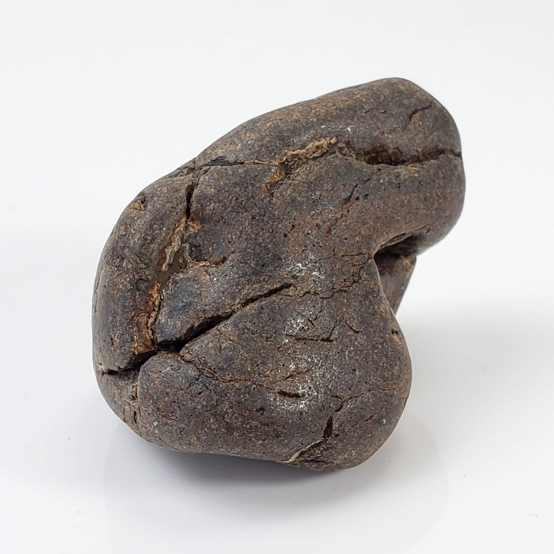  Northwest Africa NWA Meteorite | 45.5 Grams | Individual | Tumbled Meteorite | Sahara 3